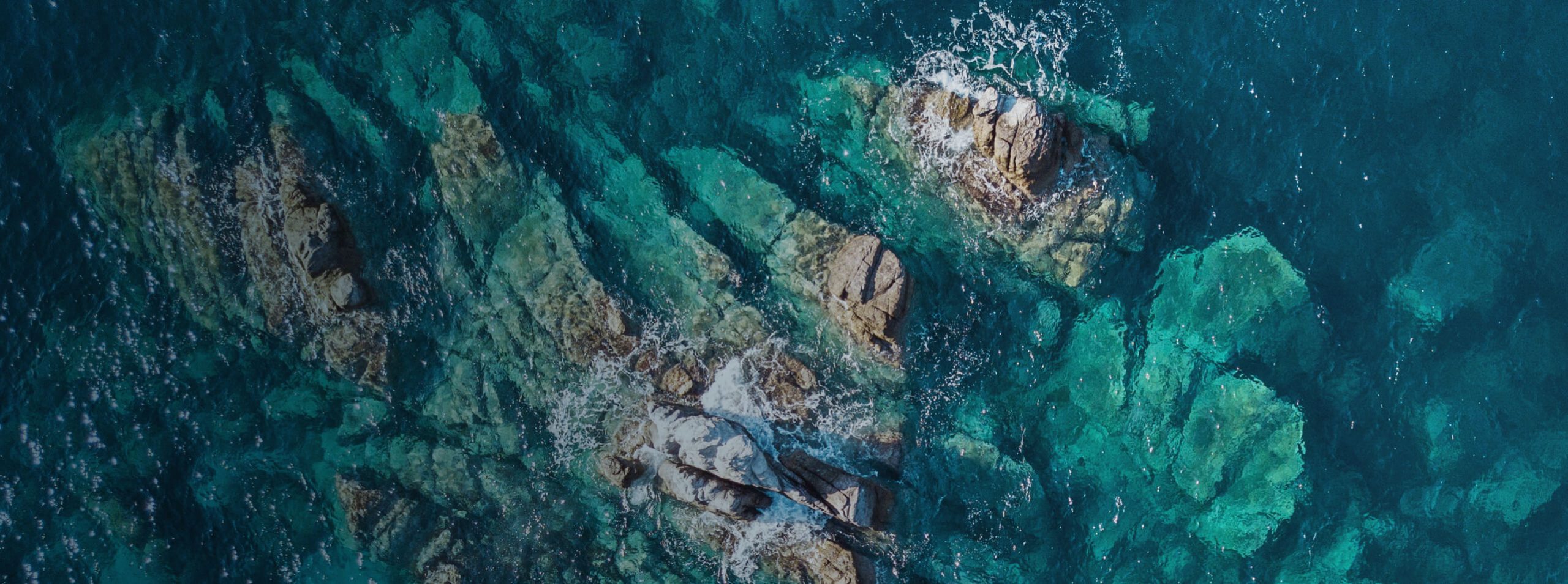 Life Sciences – Milexia