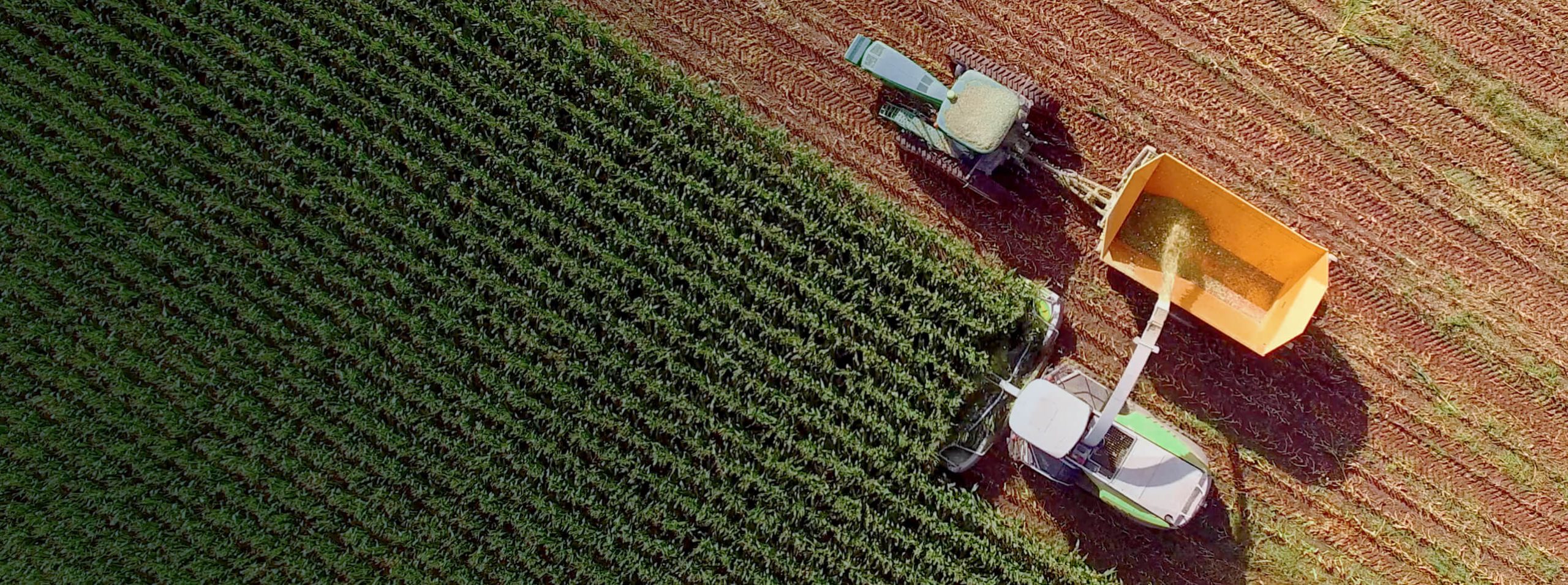 Off Road – Milexia