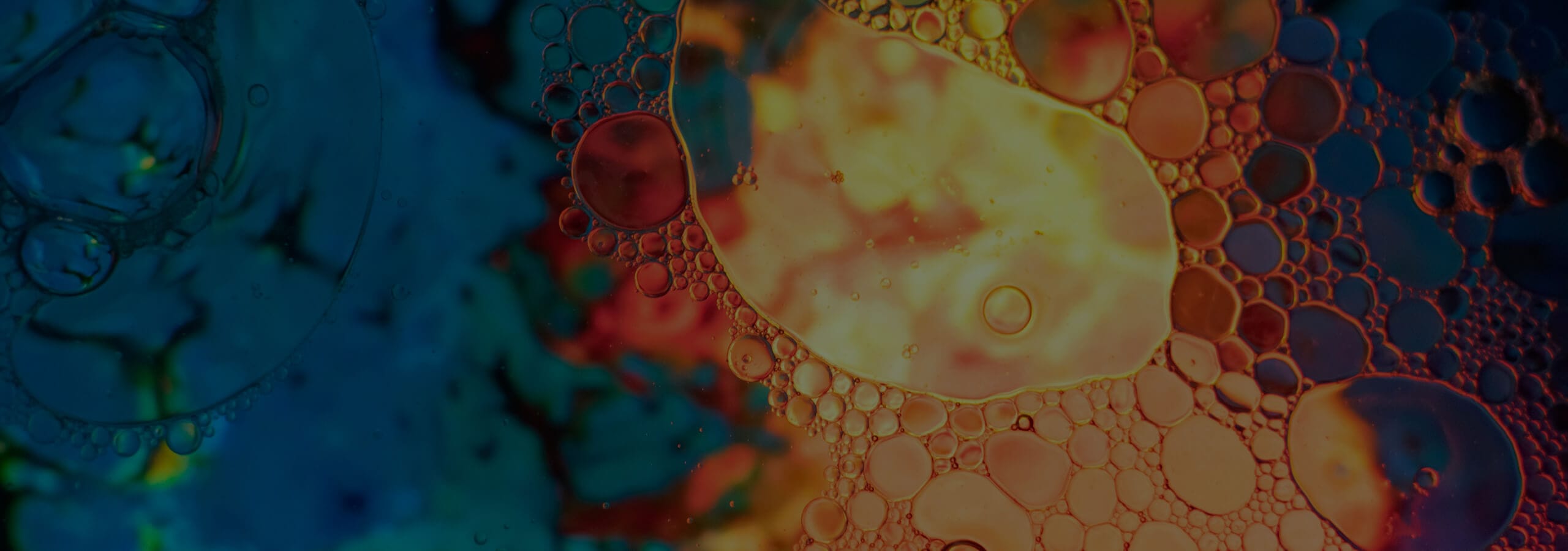 CEL Chemistry Activity