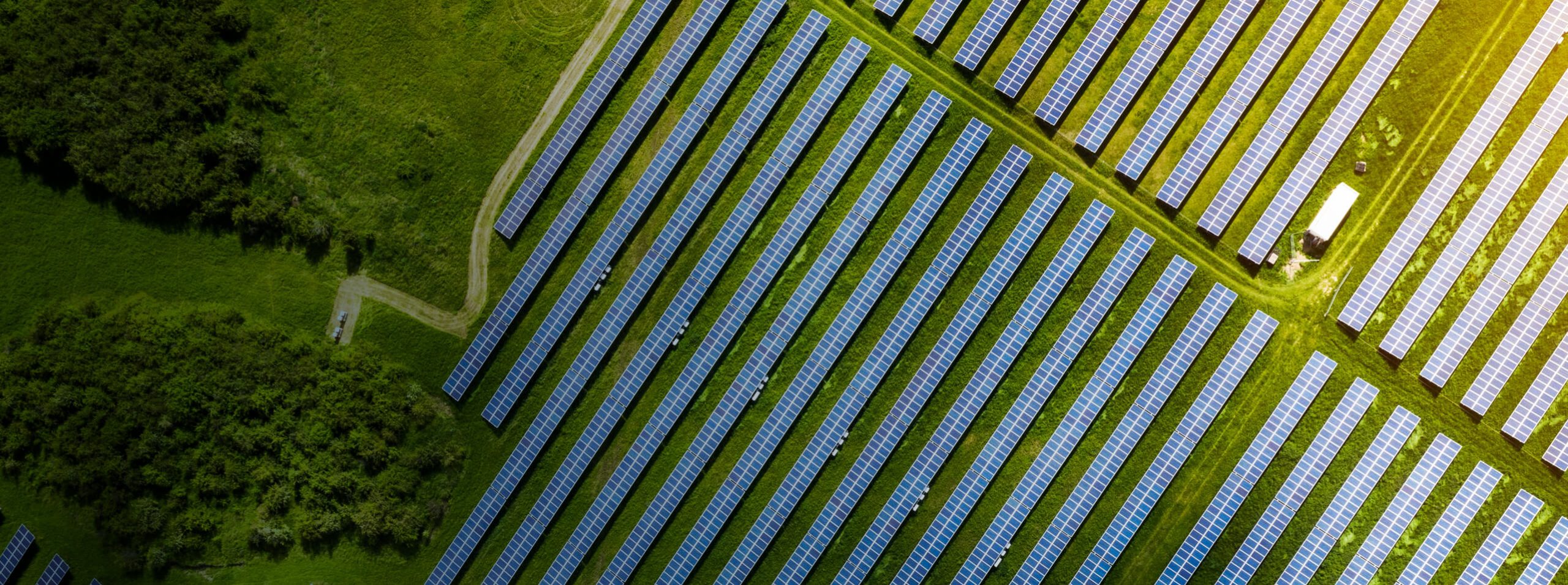 Nuclear, Solar & Renewables – Milexia