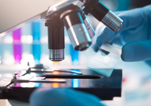 Microscopy, X-Ray and a large range of high tech laboratory equipment – Milexia