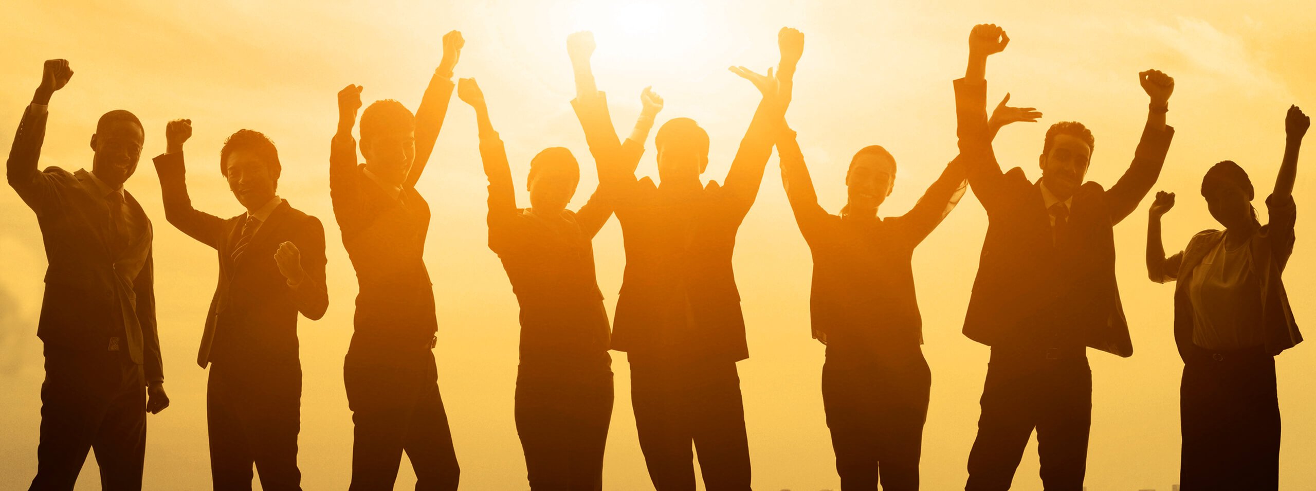 Striving for excellence – Milexia