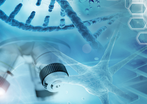 Scientific instrumentation maintenance - Milexia