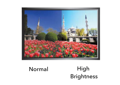 Alpha Display – High Brightness Displays